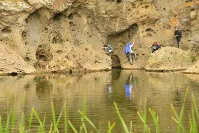 DSC_6337 (Large).JPG